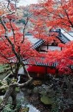 九游电脑版怎么下载不了-解决九游电脑版下载问题，轻松拥有游戏新世界