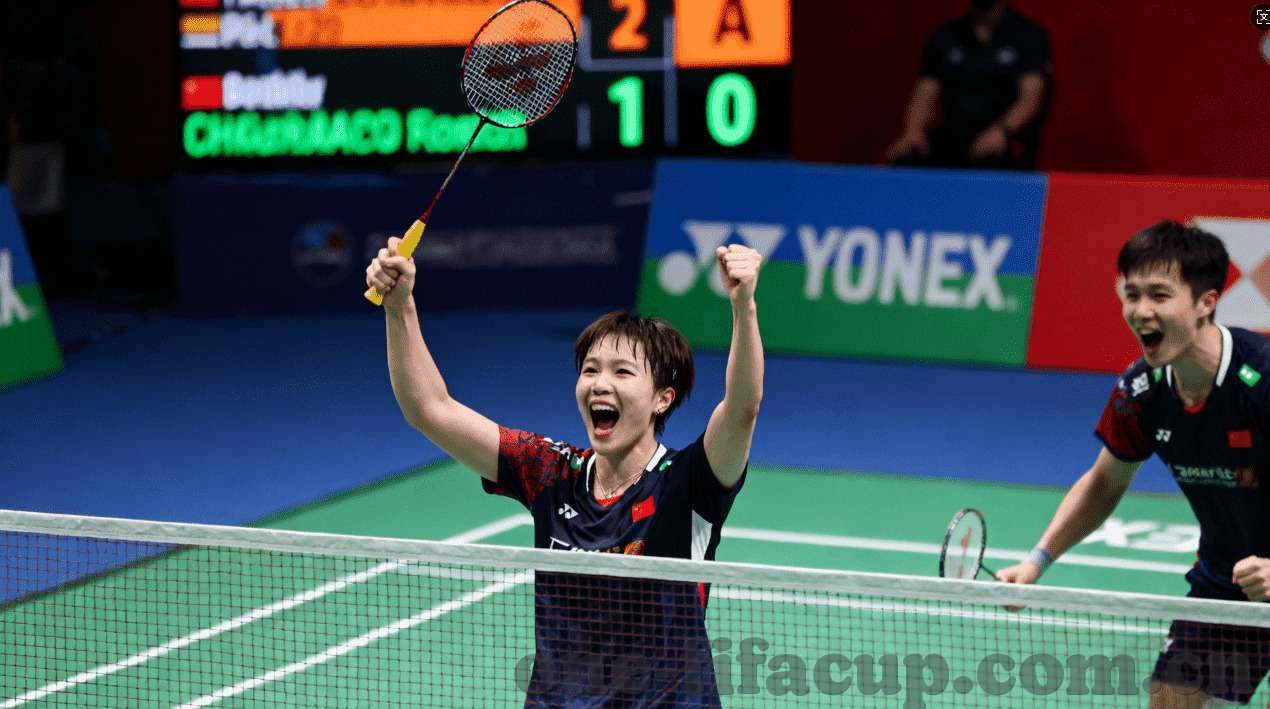 杏彩平台登入地址-杏彩平台登入地址，探索便捷与安全的网络体验